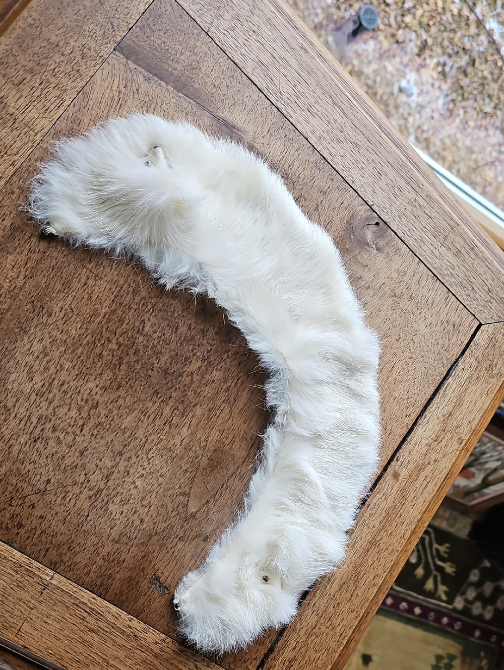 Vintage White Fur Collar - Classic Soft Accessory 1950's